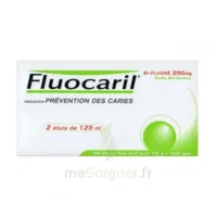 Fluocaril Bi-fluoré 250 Mg Pâte Dentifrice Menthe 2t/125ml à JACOU