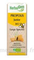 Herbalgem Propolis Large Spectre Solution Buvable Bio Junior Fl Cpte-gttes/15ml à JACOU